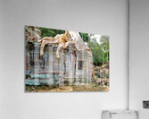 Massive tree roots engulf ancient stone temple ruins. Acrylic Print