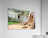 Ancient temple ruins intertwined with giant tree. Acrylic Print