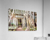 Ancient temple ruins consumed by massive tree roots. Acrylic Print