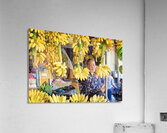 Market vendor surrounded by abundant yellow bananas. Acrylic Print