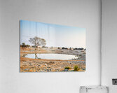 Zebras drink water at a waterhole in Etosha National Park Namibi Acrylic Print
