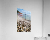 Oyster shells lay on the beach of Cancale Brittany France Acrylic Print