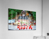 Memorial for Jan Palach and Jan Zajíc victims of communism. Acrylic Print