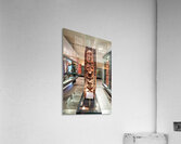 Visit to maori natural history gallery in auckland war memorial  Acrylic Print