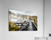Discover geothermal trails in Whakarewarewa Rotorua Acrylic Print
