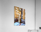Marble statue inside the Great Hall of Colonna Art Gallery in Ro Acrylic Print