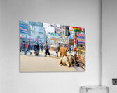 Cows roam the streets of Varanasi Benares Uttar Pradesh Acrylic Print
