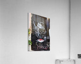 Graffiti of Neapolitan actor Toto in Quartieri Spagnoli Naples Acrylic Print