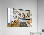 Exploring ancient artifacts at the National Museum of Magna Grec Acrylic Print