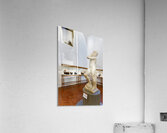 Michelangelos David Apollo in Museo Nazionale del Bargello Flo Acrylic Print