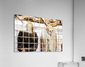 Visitors see mummies in Capuchin Catacombs in Palermo Sicily Acrylic Print