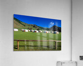 Ger tents in the grassy fields of Mongolia under clear skies Acrylic Print