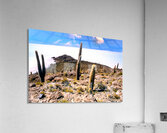 Cactus island in a vast white salt flat under blue sky. Acrylic Print