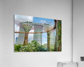 People walk on bridge connecting to Supertree Grove in Singapore Acrylic Print