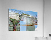 People walk on bridge connecting to Supertree Grove in Singapore Acrylic Print