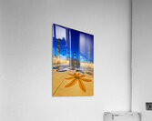 Sheikh Zayed Grand Mosque at night in Abu Dhabi Acrylic Print