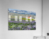Ingjaldsoll church stands in a field of flowers in Iceland Acrylic Print