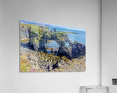Exploring arnarstapi cliff in Iceland by the ocean Acrylic Print