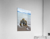 Hvitserkur rock formation in Iceland at low tide Acrylic Print