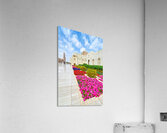 Exploring sultan qaboos grand mosque in muscat oman Acrylic Print