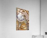 Beautiful view of the interior of the Blue Mosque in Istanbul Acrylic Print