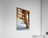 Walking through the colonnaded pathway in Park Guell Barcelona Acrylic Print