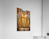 Historic view of the Cathedral of the Holy Cross in Barcelona Acrylic Print