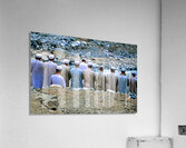 Muslim men pray outdoors in Pakistan facing Mecca Acrylic Print