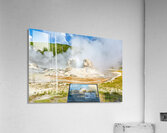 Grotto Geyser erupts in Yellowstone National Park Acrylic Print