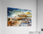 Mound Spring and Jupiter Terrace show unique geothermal features Acrylic Print