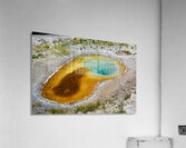 Yellowstone National Park features Beauty Pool in summer Acrylic Print