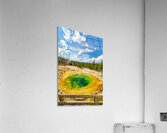 Morning Glory Pool shows colors at Yellowstone National Park Acrylic Print