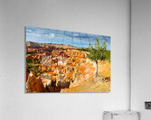 Sunrise at Bryce Canyon National Park near Sunrise Point Acrylic Print