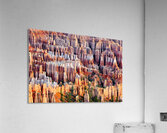 Views from bryce point in bryce canyon national park Impression acrylique