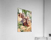 Bryce Point offers views of canyon rock formations Acrylic Print