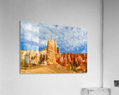 NP USA 00669 Acrylic Print