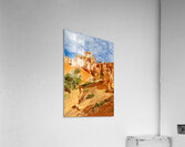 Explore queens garden in bryce canyon national park Acrylic Print