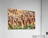 Views of bryce canyon from bryce point in national park usa Acrylic Print