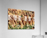 Views of bryce canyon from bryce point in national park usa Acrylic Print