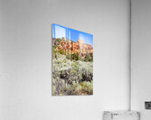 Visit Dixie National Forest in Utah with red rock formations Acrylic Print