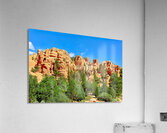 Scenes from Dixie National Forest in Utah during daytime Acrylic Print