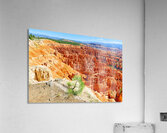 View from inspiration point at bryce canyon national park Acrylic Print