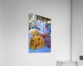 Cooks prepare sweets at a market in Samarkand Uzbekistan Acrylic Print