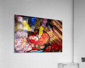 Fresh fish preparation at market in Hanoi during midday Acrylic Print