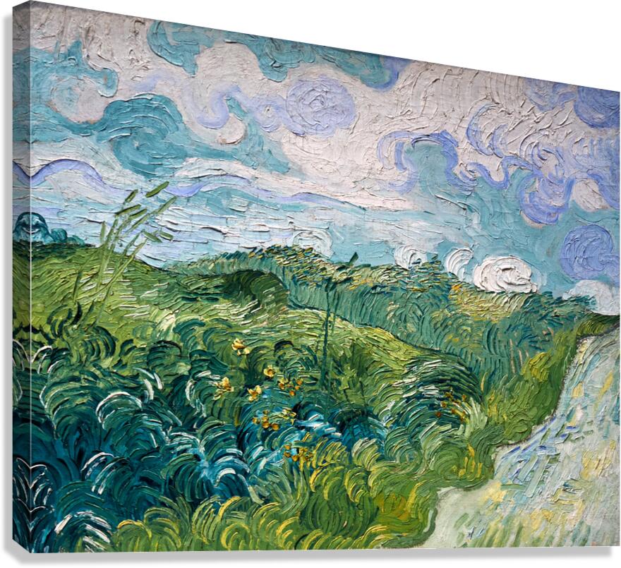 Vincent Van Gogh - Green Wheat Fields Auvers - 1890