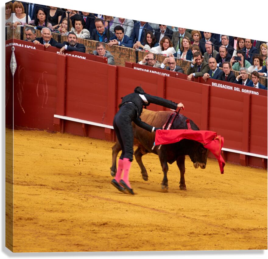 ANDALUSIA SPAIN. Bullfight in Seville Arena