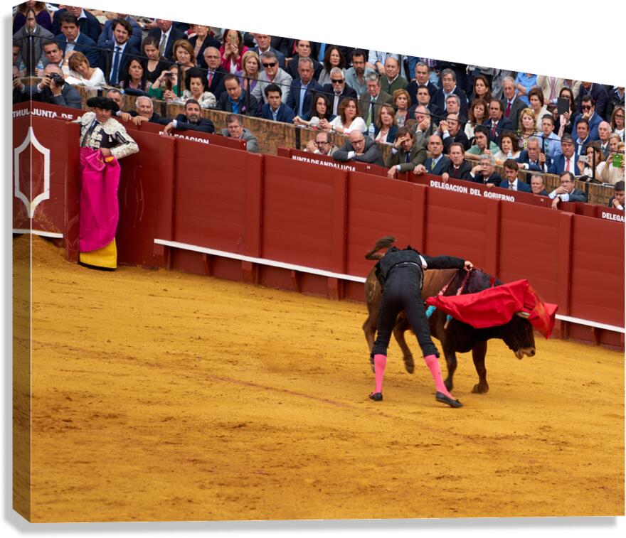 ANDALUSIA SPAIN. Bullfight in Seville Arena