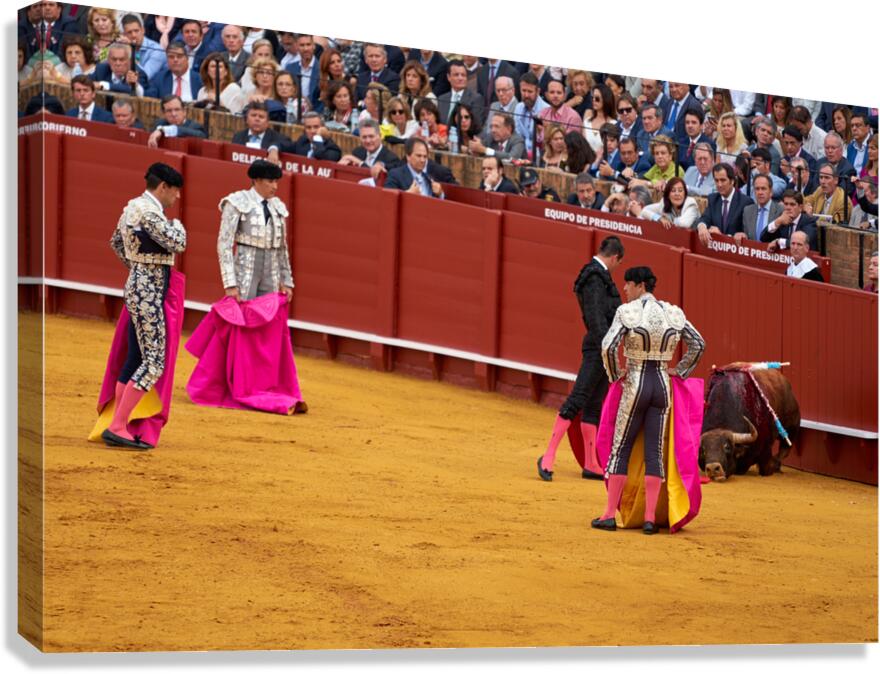 ANDALUSIA SPAIN. Bullfight in Seville Arena