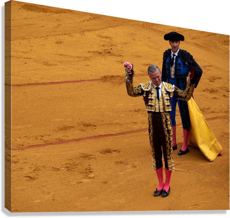 ANDALUSIA SPAIN. Bullfight in Seville Arena