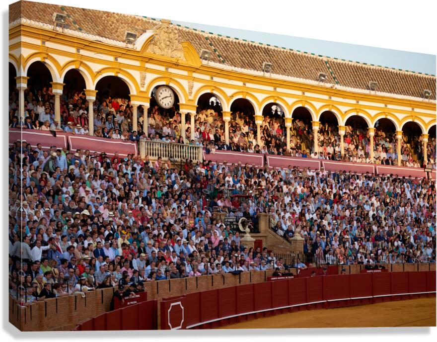 ANDALUSIA SPAIN. Bullfight in Seville Arena